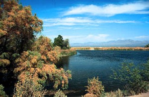 Roper Lake State Park